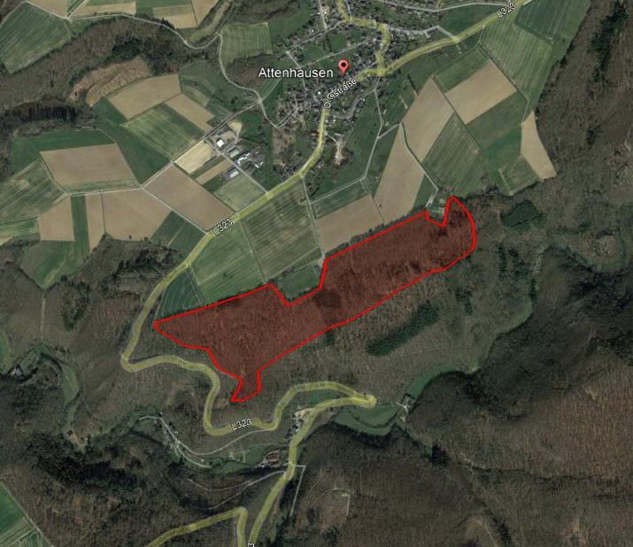 Friedwald-Lageplan südlich des Ortes